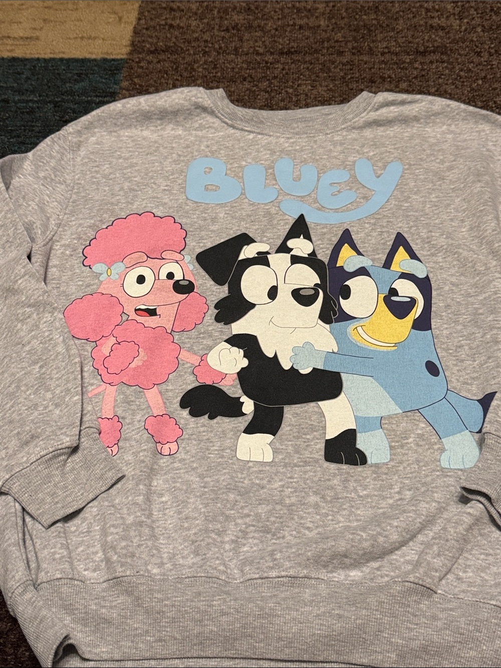 Bluey Grey Cartoon Dog Sweatshirt with Pink Poodle Graphic